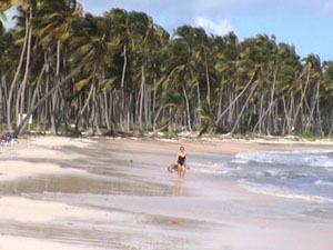 Traumstrand Punta Cana